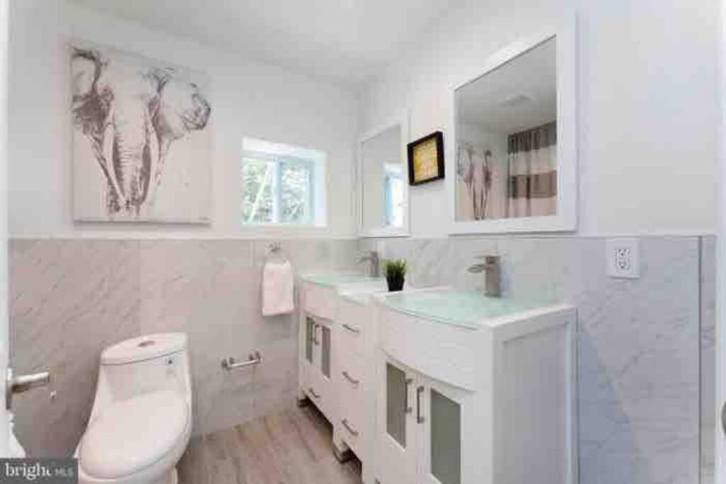 Brand New Home In South Philly!!! فيلادلفيا المظهر الخارجي الصورة